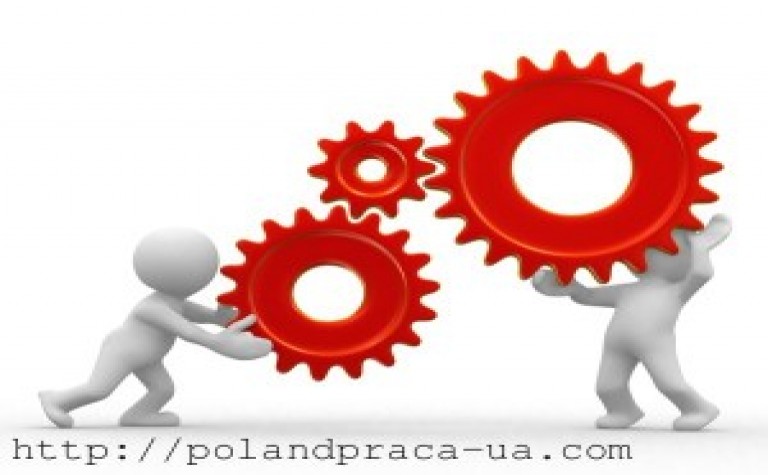 Українці обирають для роботи Польщу, а поляки їдуть працювати на Захід. Чому так?