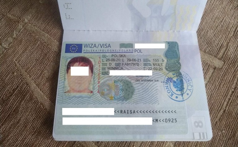 Статистика відкриття віз в першій половині 2020 року