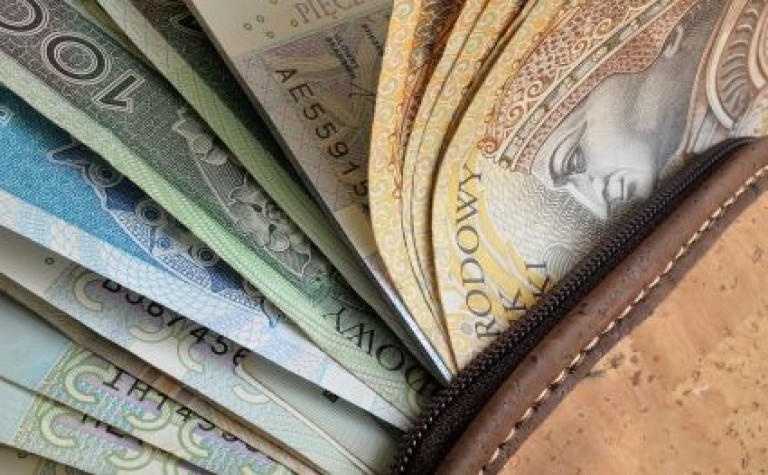 У Польщі різко скоротилася кількість охочих працювати за мінімальну зарплату українців